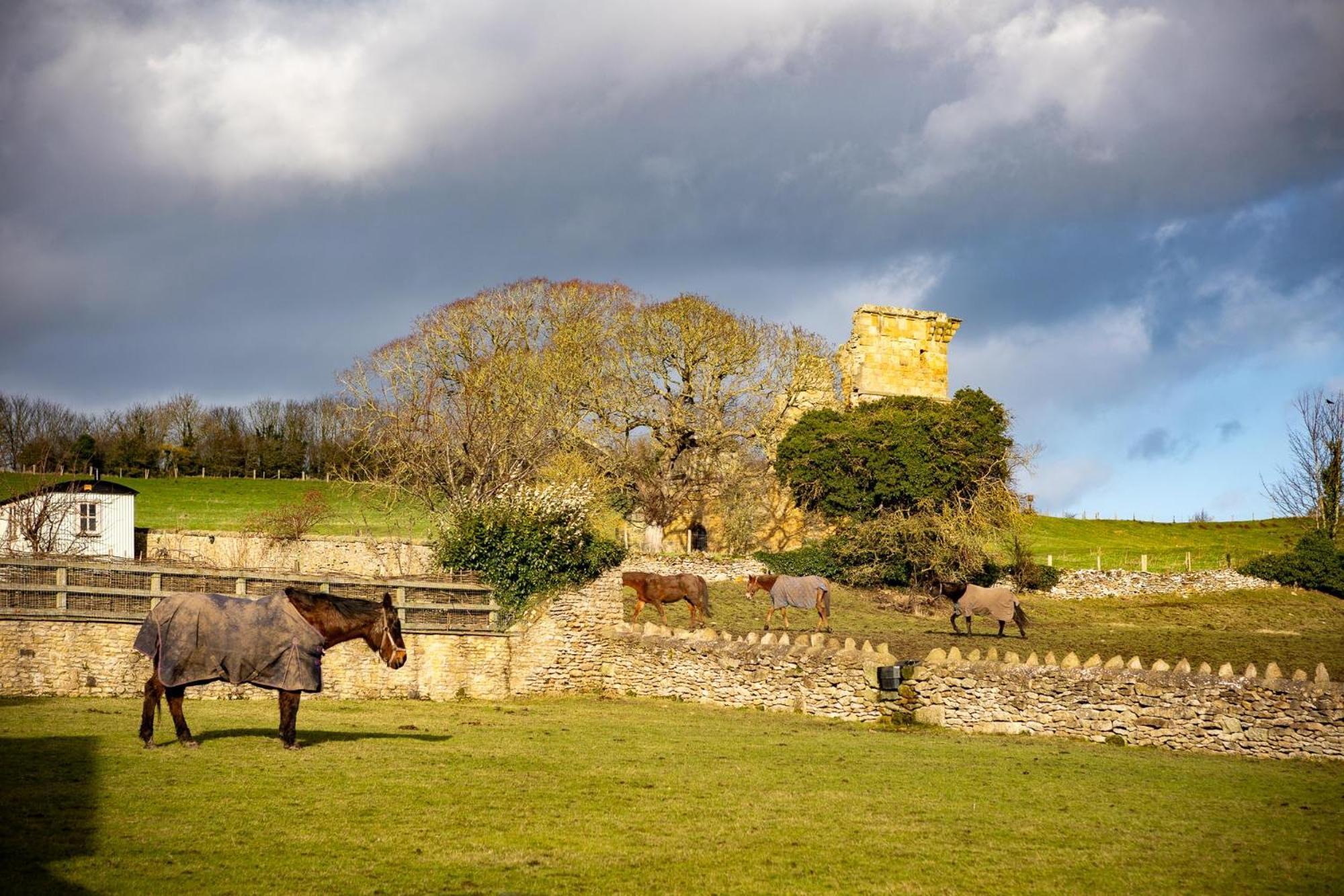 Yew Tree Cottage East Ayton Dış mekan fotoğraf